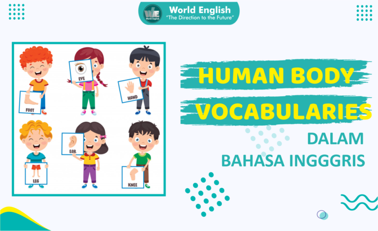 Daftar Kosakata Bahasa Inggris tentang Anggota Tubuh Manusia (HUMAN BODY VOCABULARIES)